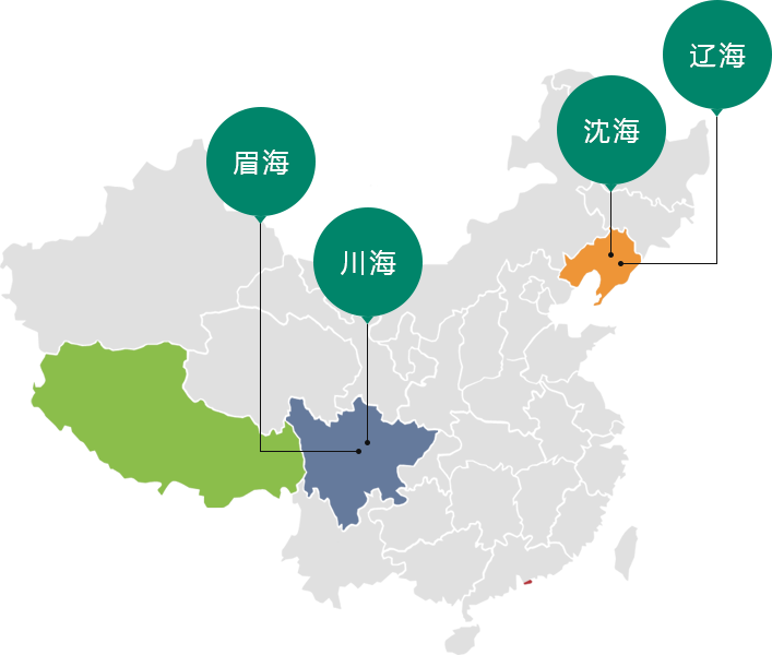 四川人生就是搏尊龙制药有限公司